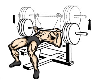 bench_press